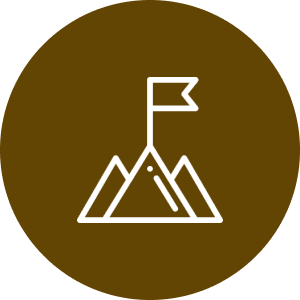 Business Sustainability strategy process with milestones